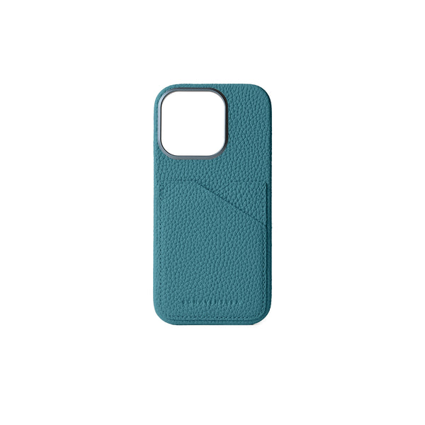 Back Cover iPhone Case (iPhone 16 Pro)