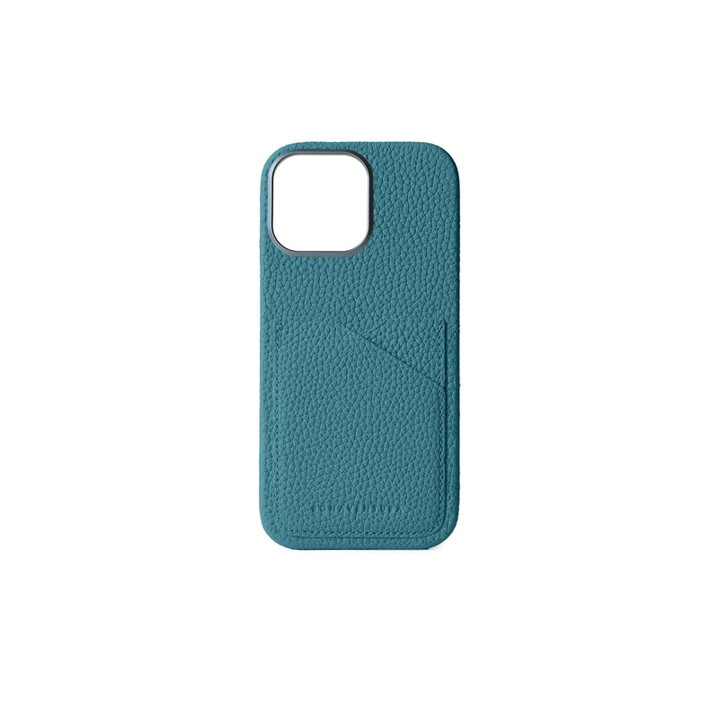 Back Cover iPhone Case (iPhone 16 Pro Max)